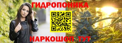 стаф Ипатово