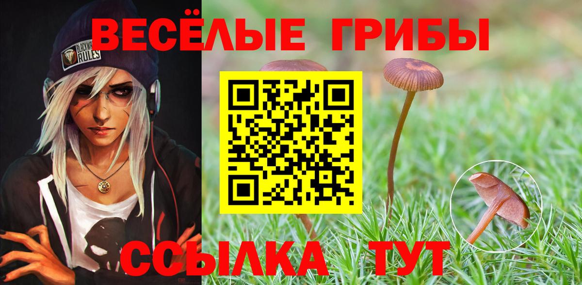 Псилоцибиновые грибы мухоморы Минусинск