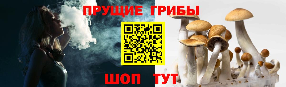 Псилоцибиновые грибы MAGIC MUSHROOMS  Вход с VPN  Минусинск 
